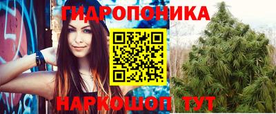 крисы Азнакаево