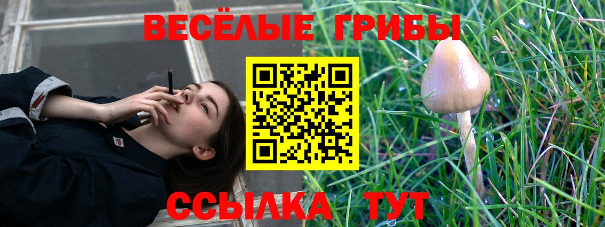 Алексин  Галлюциногенные грибы ЛСД  где продают наркотики  Вход с VPN 