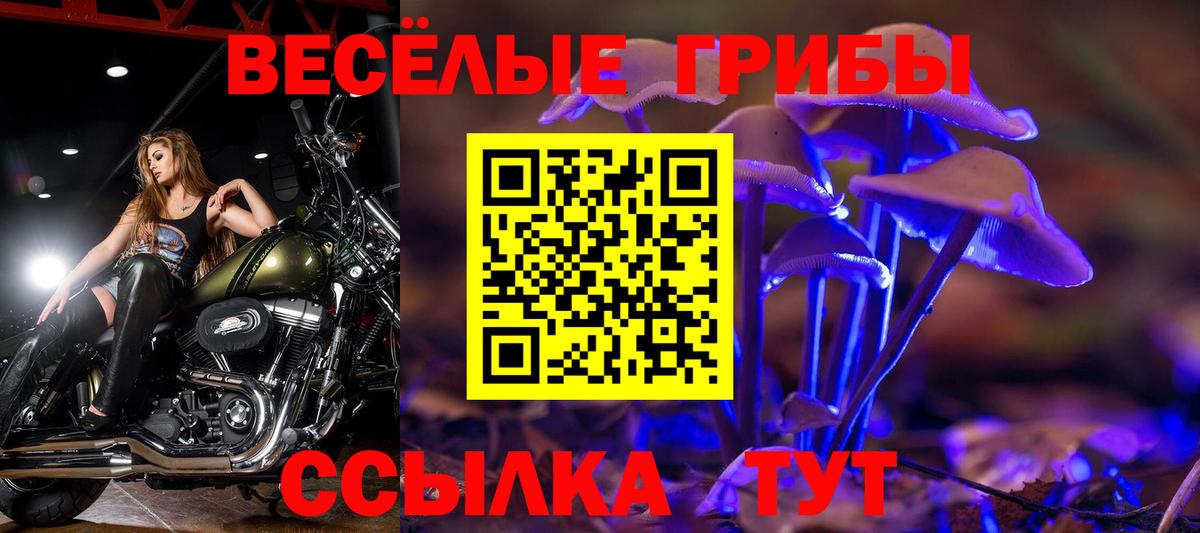 Псилоцибиновые грибы мицелий Алексин